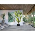 Ave Paraiso Planta Artificial H250 de Schuller Ave Paraiso Planta Artificial H250 de Schuller
