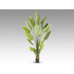 Ave Paraiso Planta Artificial H250 de Schuller
