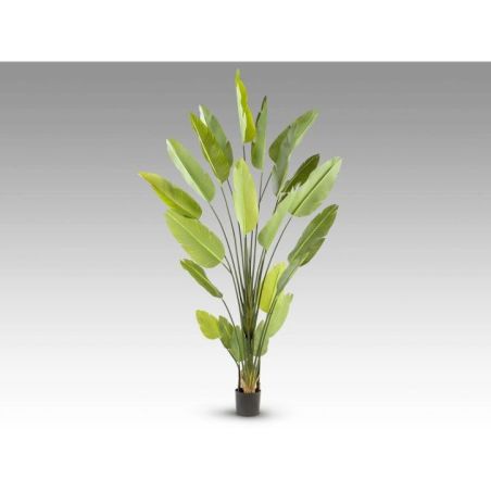 Ave Paraiso Planta Artificial H250 de Schuller