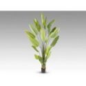 Ave Paraiso Planta Artificial H250 de Schuller Ave Paraiso Planta Artificial H250 de Schuller