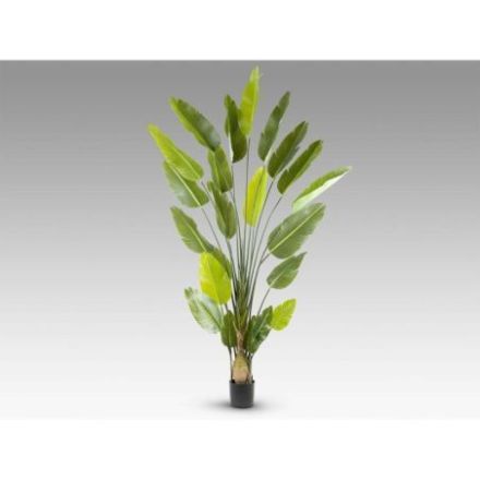 Ave Paraiso Planta Artificial H250 de Schuller