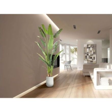 Palma Viajero Planta Artific H240 de Schuller