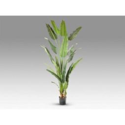 Palma Viajero Planta Artific H240 de Schuller