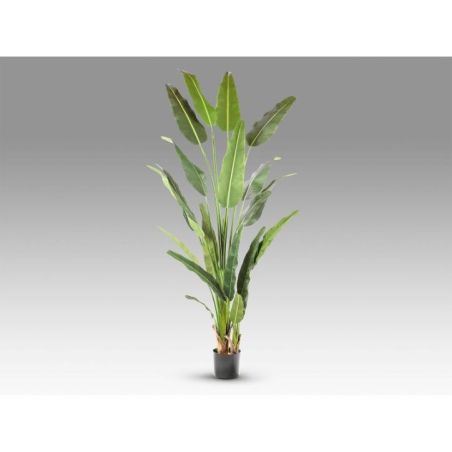 Palma Viajero Planta Artific H240 de Schuller