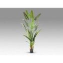 Palma Viajero Planta Artific H240 de Schuller Palma Viajero Planta Artific H240 de Schuller