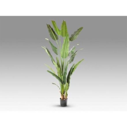 Palma Viajero Planta Artific H240 de Schuller