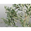 Olivo Planta Artificial H180 de Schuller