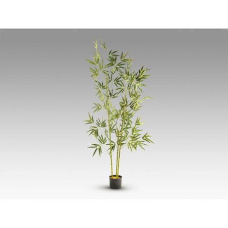 Bambu Planta Artificial H170 de Schuller