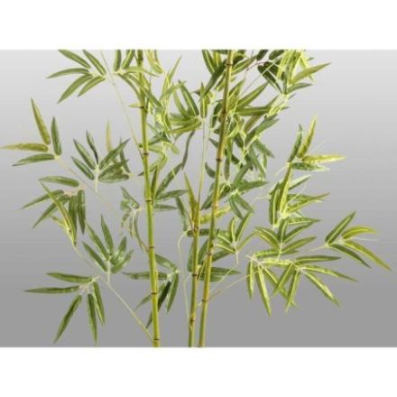 Bambu Planta Artificial H170 de Schuller