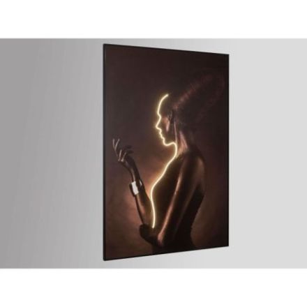 Silueta Cuadro Luz Led 120x180 de Schuller