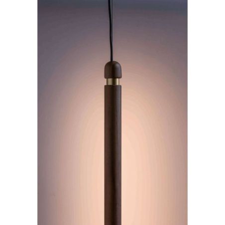 Linea V de Nomon