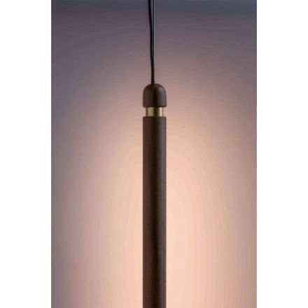 Linea V de Nomon