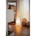 Catay Xl de Nomon Catay Xl de Nomon