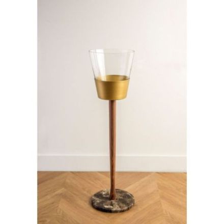 Champagnera de Nomon Gold