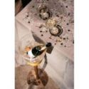 Champagnera de Nomon Champagnera de Nomon