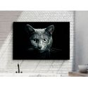 Fotografía Felino 120x80 de Schuller Fotografía Felino 120x80 de Schuller