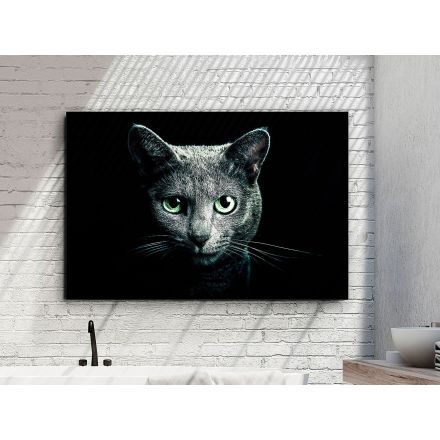 Fotografía Felino 120x80 de Schuller