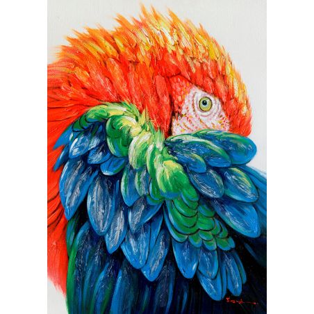 Cuadro Loro Tricolor