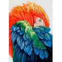 Loro Tricolor de Dissery