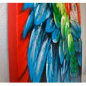 Detalles Loro Tricolor de Dissery
