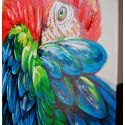 Detalles Cuadro Loro Tricolor de Dissery