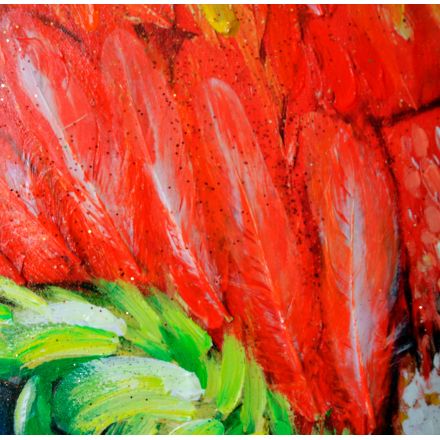 Detalles Loro Tricolor de Dissery