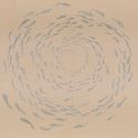 Espiral De Peces de Dissery Espiral De Peces de Dissery