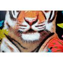 Detalles Cuadro Tigre de Dissery