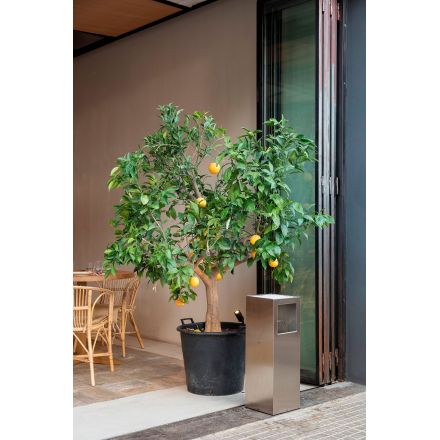 Cenicero papelera Riga Inox de Mobles 114