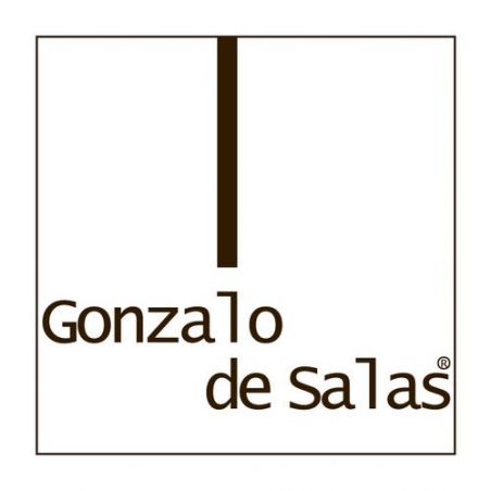 Gonzalo de Salas