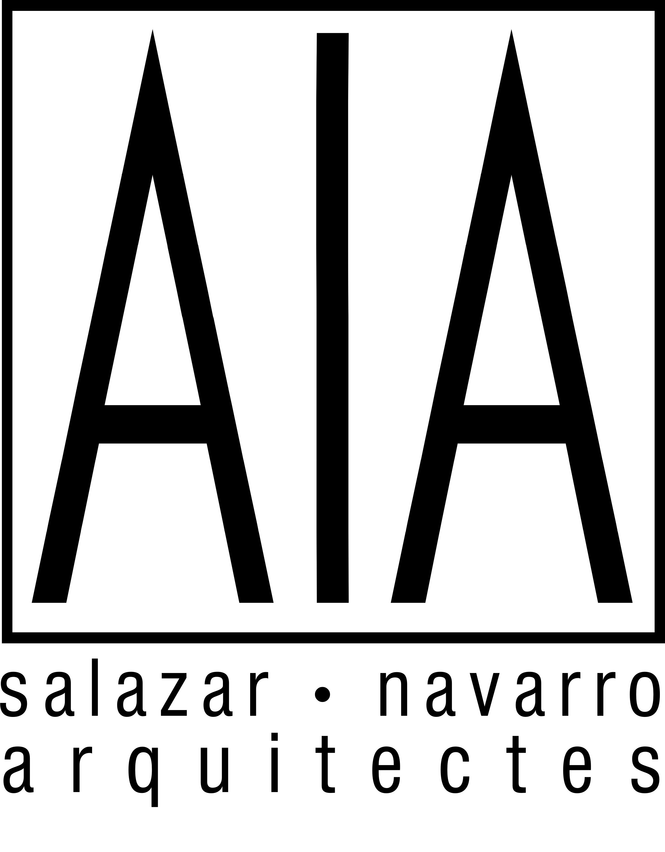 AIA Salazar-Navarro