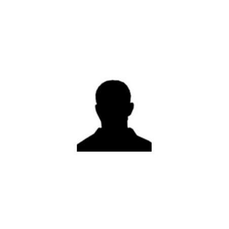 Massimo Mottin